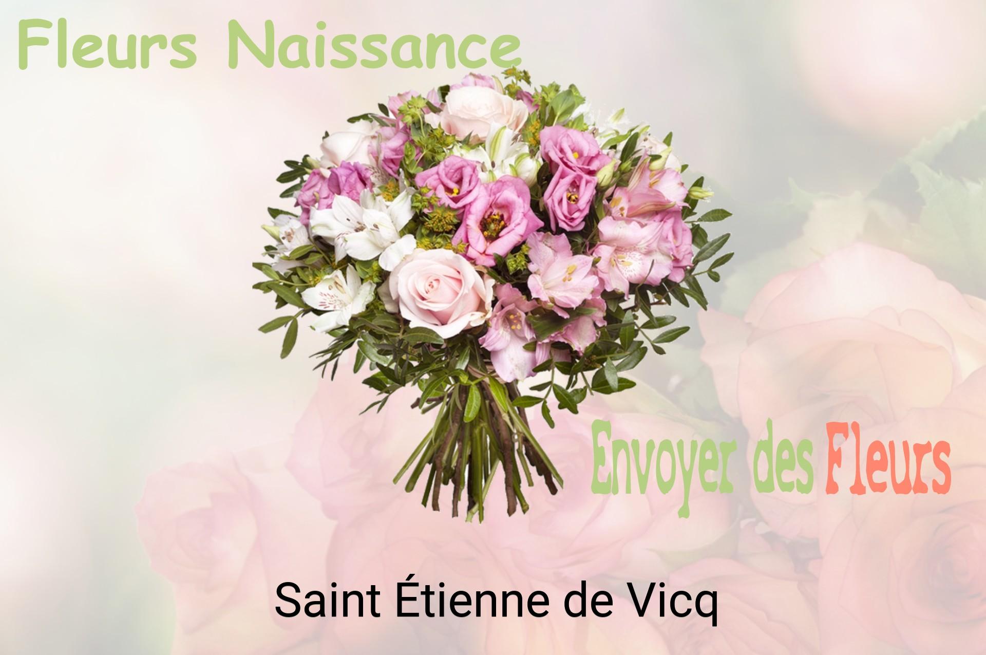 Bouquet de fleurs de naissance livré à Saint-Étienne-de-Vicq