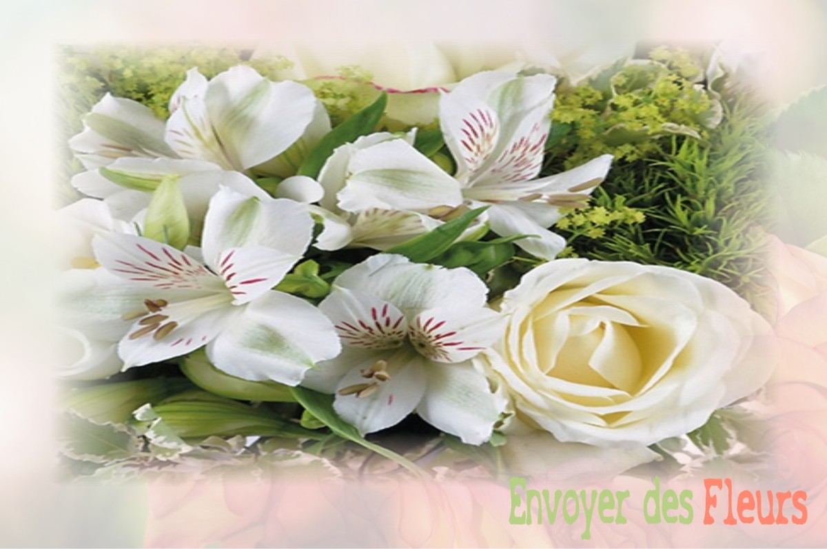 envoyer des fleurs à à SAINT-ETIENNE-DE-VICQ